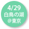 2024.04.29 『白鳥の湖』@東京文化会館
